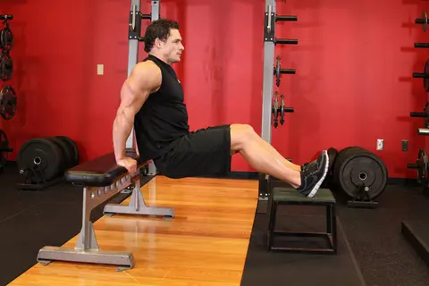 Bench Dips