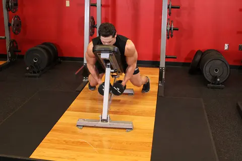 Dumbbell Lying Rear Lateral Raise