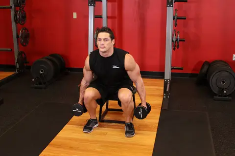 Dumbbell Squat To A Bench — end position