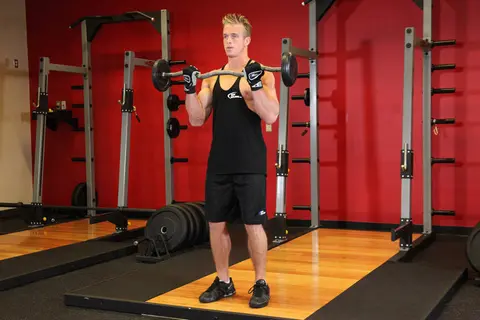 EZ-Bar Curl — end position