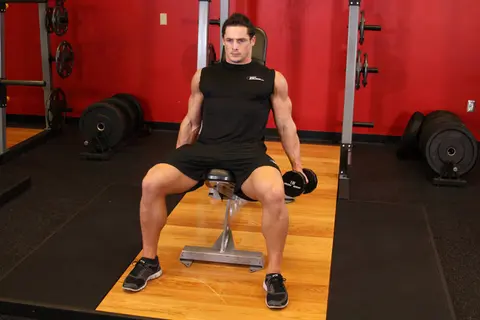 Flexor Incline Dumbbell Curls