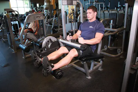 Seated Leg Curl
