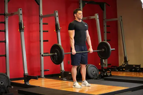 Stiff-Legged Barbell Deadlift — end position